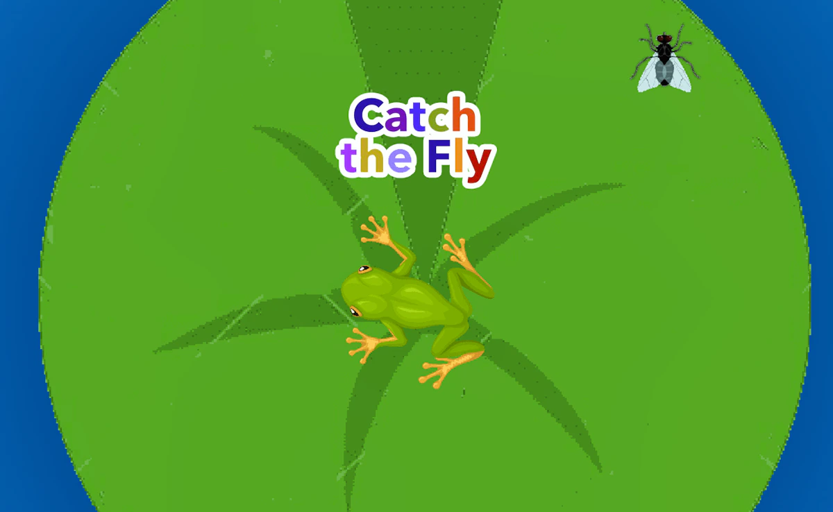 Catch The Fly Game