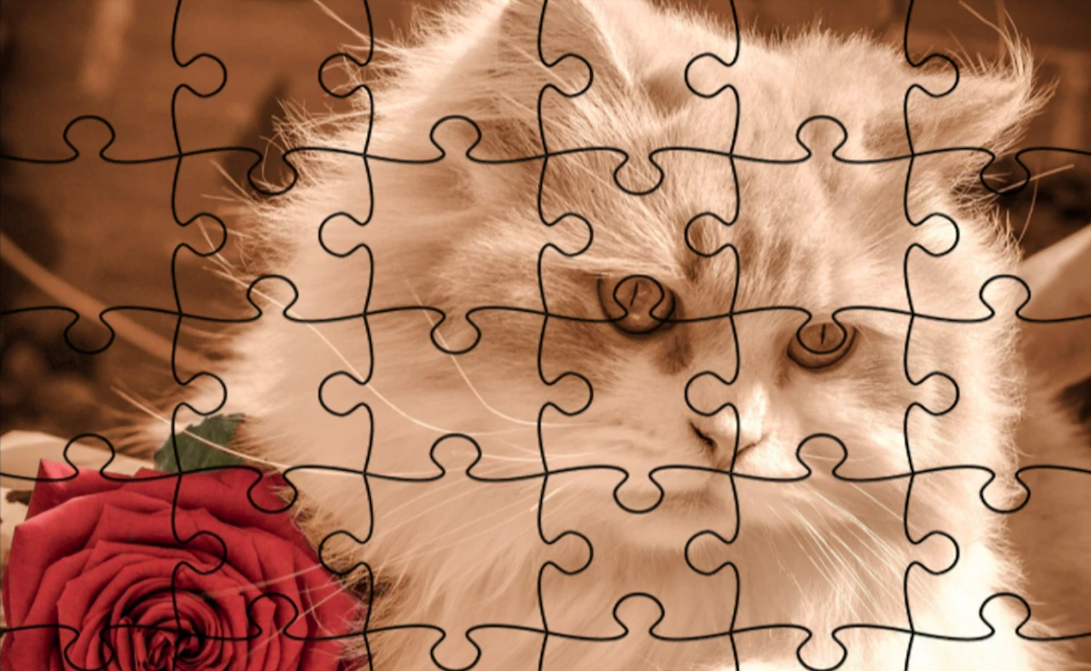 Jigsaw Puzzle: Cats Preview
